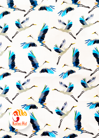 Image of Aves A57
